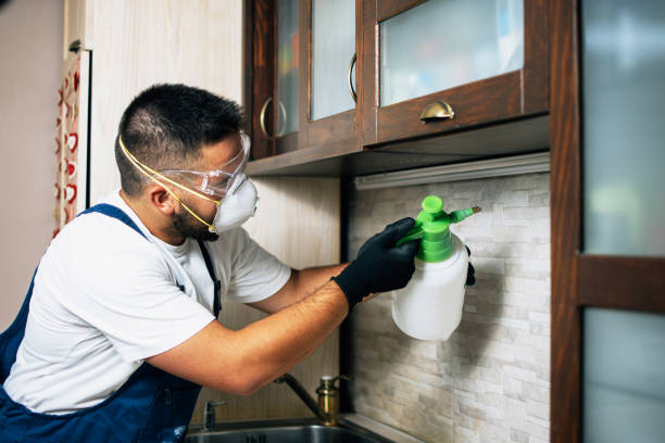 Best Local Pest Control Services  in Old Brookville, NY