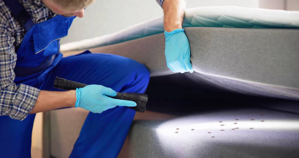 Best Best Pest Control Companies  in Old Brookville, NY